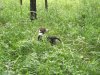 DSCF2869.JPG