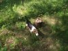DSCF2879.JPG