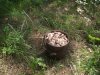 DSCF2883.JPG
