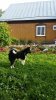 IMG-20160727-WA0004.jpg
