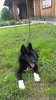 20160727_163346.jpg