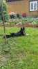 20160727_163207.jpg