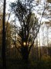 DSC04950.JPG