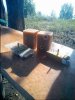 DSC00455.JPG