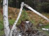 SDC12270.JPG