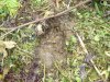 DSC04031.JPG