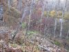 IMG_1183.JPG