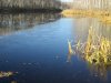 IMG_1240.JPG