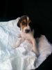 IMG-20160817-WA0004.jpeg