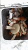 IMG-20160818-WA0015.jpeg