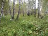 20160821_131634.jpg