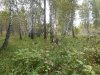 20160821_131631.jpg