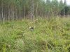 20160821_125959.jpg