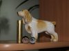 DSC00125.JPG
