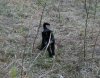 DSC01128.JPG