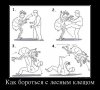 как бороться с лесным клещом.jpg