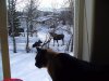 a nature around us.jpg