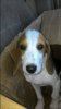 IMG-20160823-WA0000.jpeg