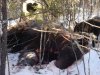 DSC05679.JPG