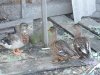 DSCN2761.JPG
