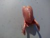 IMG_20160917_131852.jpg