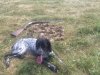 IMG-20160904-WA0000.jpg