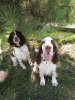 IMG_2016-09-18_131323.jpg