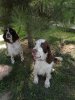 IMG_2016-09-18_131352.jpg