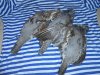 DSCN2218.JPG