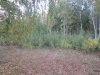 IMG_3190.JPG