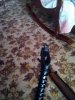 IMG_20160923_144503.jpg