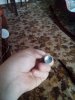 IMG_20160923_144604.jpg