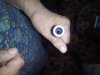 IMG_20160923_145207.jpg