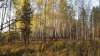 20160930_082835.jpg