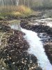 IMG_20161002_180110.jpg