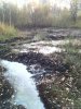 IMG_20161002_180153.jpg