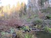 IMG_0566.JPG
