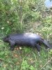 IMG_20160911_184912.jpg