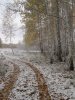 IMG_3350.JPG