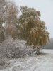 IMG_3315.JPG