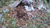 20161008_082306.jpg