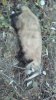 IMG-20161018-WA0002.jpeg