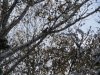 IMG_0440 - копия.JPG