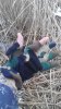 IMG_20161007_175612.jpg