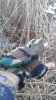 IMG_20161007_175616.jpg
