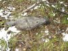 DSC07659.JPG