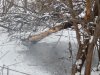 DSCN8431.JPG