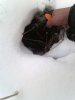 IMG_20161030_120349.jpg