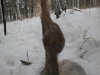 SDC12953.JPG
