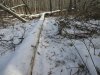 IMG_0802.JPG